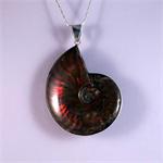 Ammonite Pendant