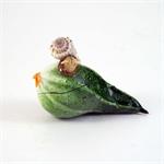 The Cucumber