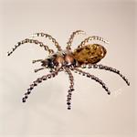 Baltic Amber Spider Pen and Pendant Hand Made in Lithuania