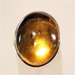 Amber Ring with Insect Genuine from Lithuania