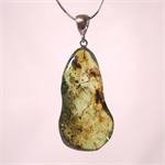 Green Baltic Amber Pendant Set in 925 Sterling Silver with Insect 