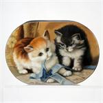 Playful Kittens