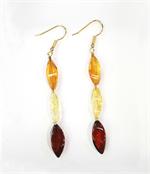 Baltic Amber Multicolored Faceted Earrings in Sterling Silver